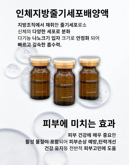HEBACELL Signature Ampoule (21ea)