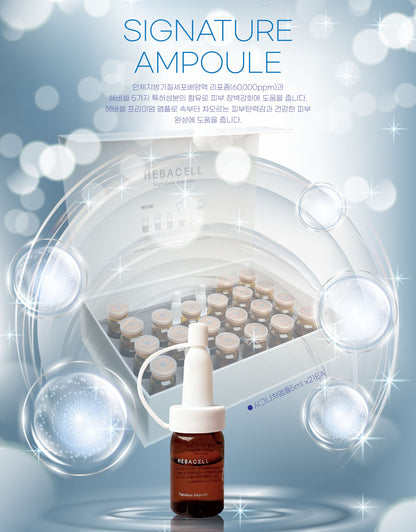 HEBACELL Signature Ampoule (21ea)